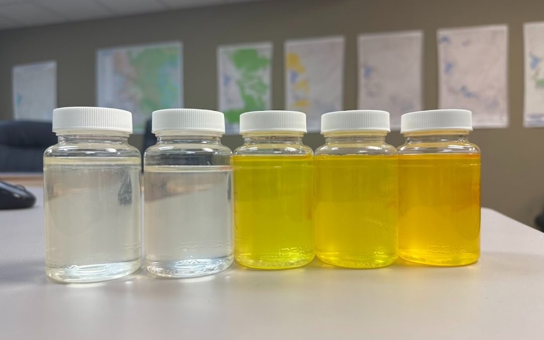 Water Quality Testing Suspended from 8/31/2026 to 9/7/2026